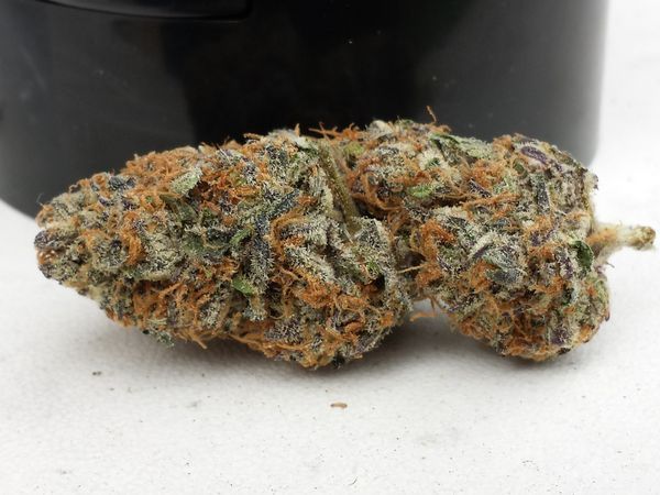 Purple Afghan Kush cata