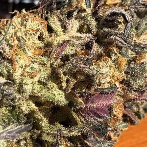 Photo of Purple Moby Dick by Treuil