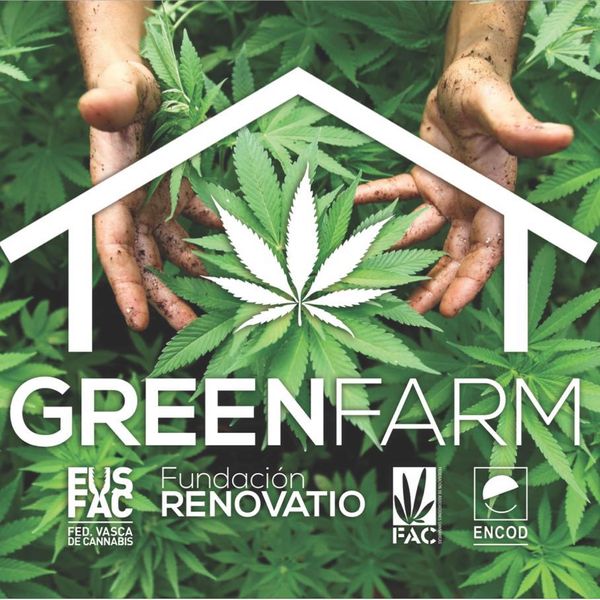 sentencia greenfarm cultivar marihuana