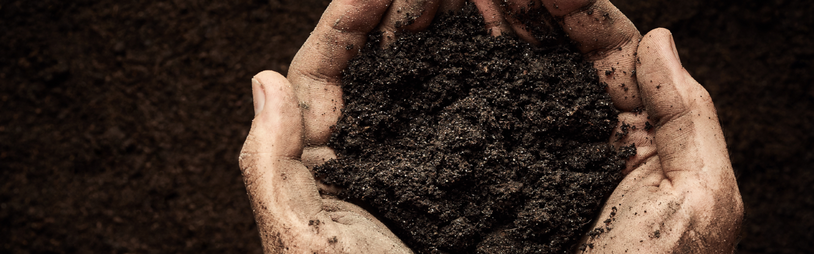 What Is Super Soil? | Composition And Benefits