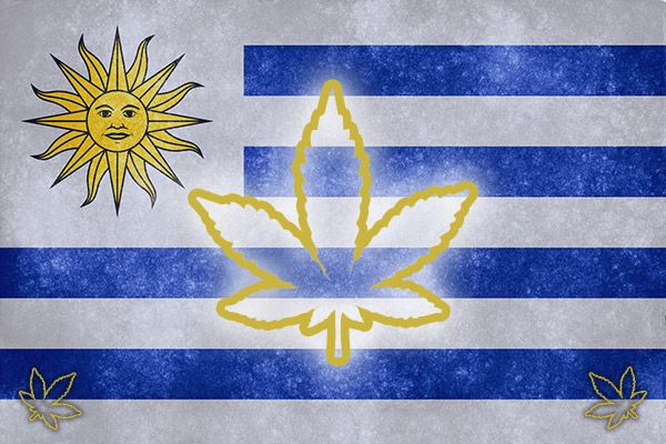 uruguay legalising cannabis marijuana trade