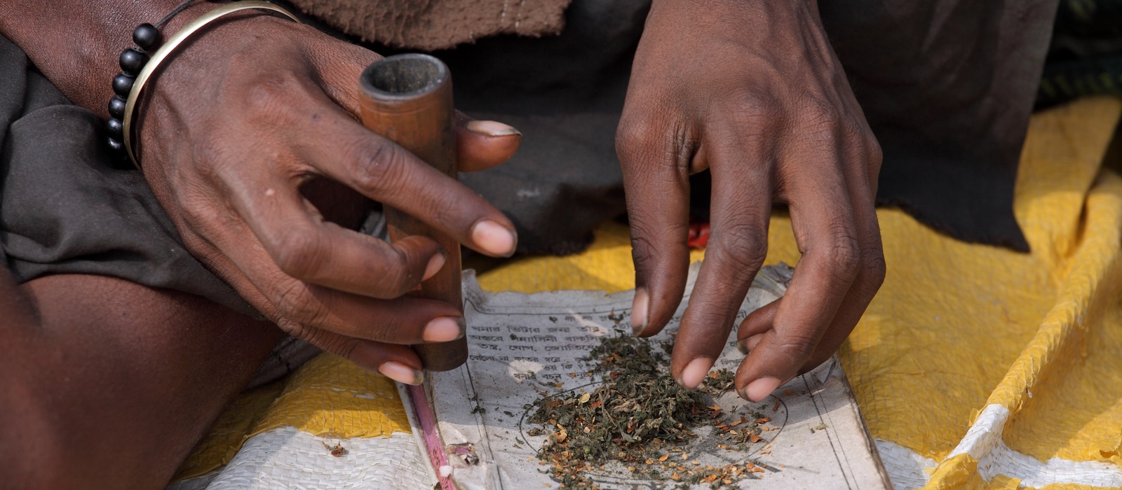 Индия как купить марихуану фото конопля лист