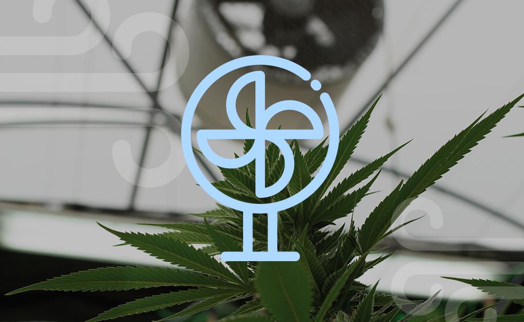 What is the optimum humidity level for each stage of cannabis growing?