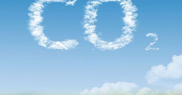 co2 culture cannabis marijuana indoor