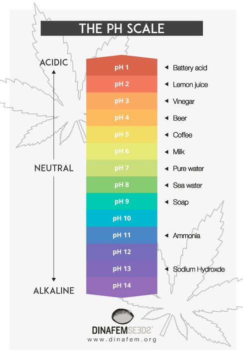 Soil Ph For Plants Chart