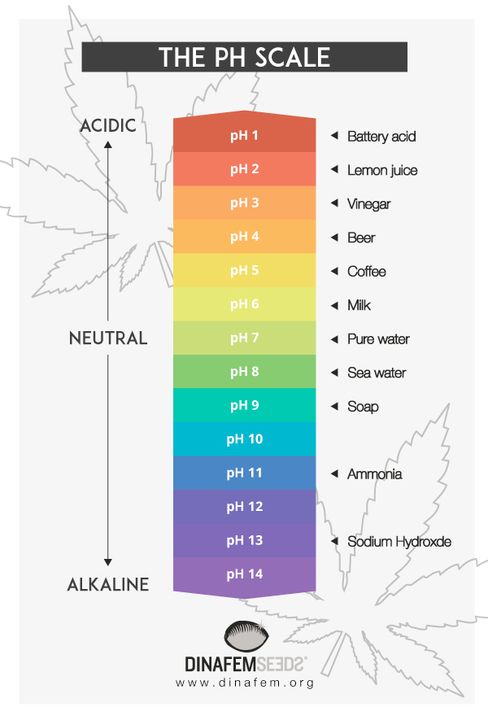 Ph Chart Cannabis