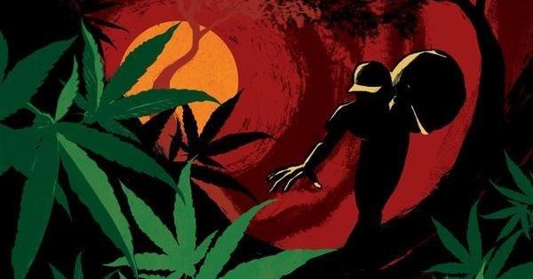 growers worst nightmar