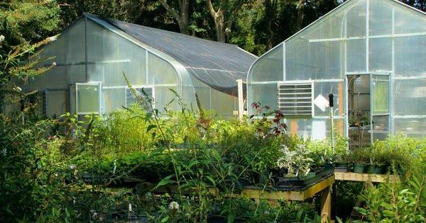 deprivation light greenhouses
