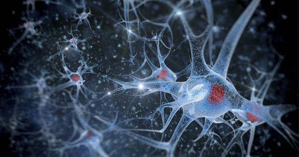 ricercatori dolore cannabinoidi nanotecnologi